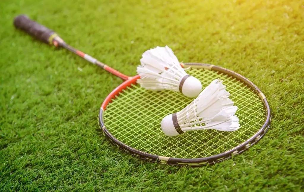 导致了阿申 导致了阿申